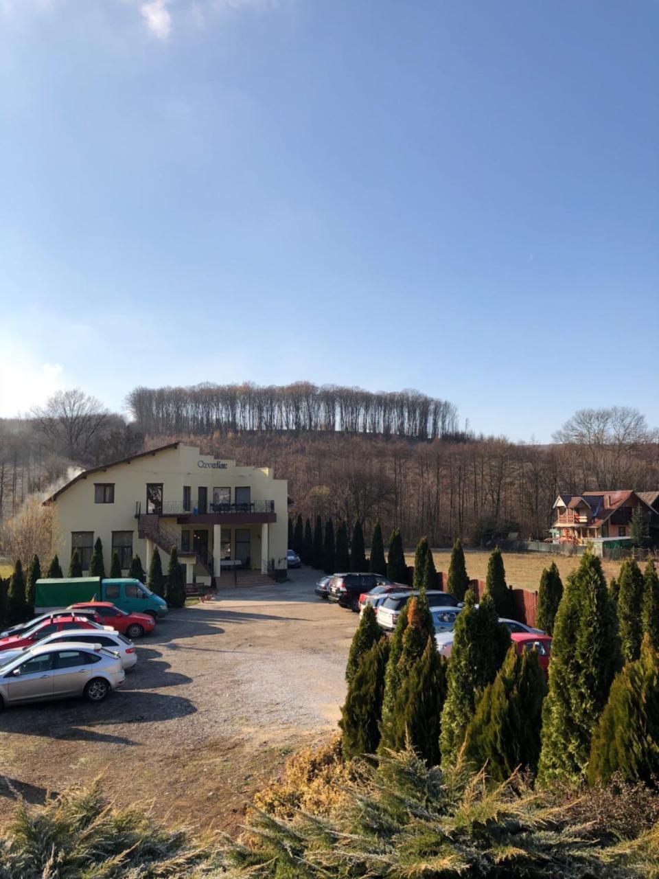 Pensiunea Cavaler Băile Felix Exterior foto